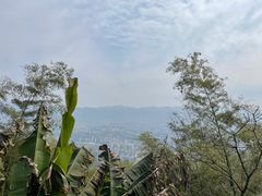 -缙云山景区