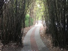 -广富林郊野公园