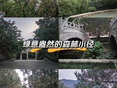 -千佛山风景名胜区