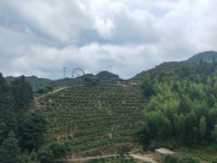 -龙岩森林水乡景区