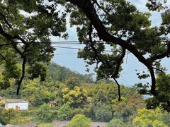 -杨家堂村