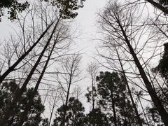 -渤公岛生态公园