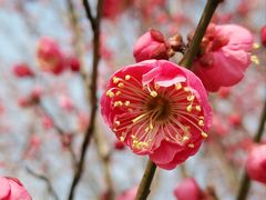 -滆湖低碳生态公园