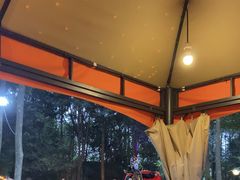 -二荆条·蜀鲜汇城市森林火锅