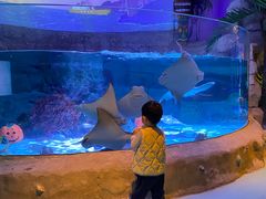 -沈阳海洋探索中心