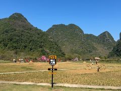 -靖西鹅泉风景区