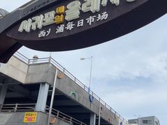 -西归浦每天偶来市场
