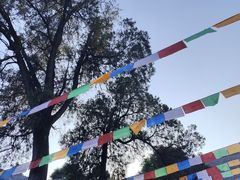-西安市广仁寺