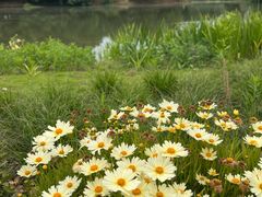 -梁鸿国家湿地公园