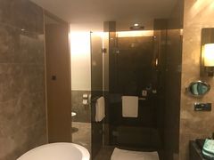 -河源万绿湖美思威尔顿酒店