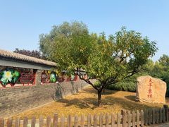 -莲花池公园