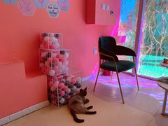 -藏猫猫咖啡主题馆(中央大道店)