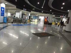 -东方体育中心(地铁站)