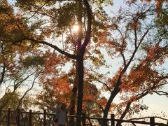 -广州市石门国家森林公园