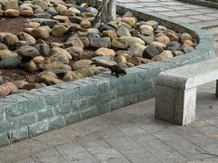 -胡里山炮台