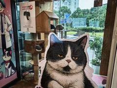 -哆趣宠物医院·眼科·内镜·急重症转诊中心(上海店)