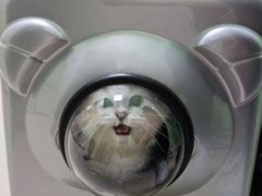 -圣宠动物医院·犬猫专科·影像中心·外科中心