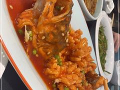 -紫光园·烤鸭·北京菜(团结湖店)