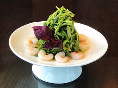 -大连君悦酒店·星海湾壹号Dalian·Dalian(星海广场店)