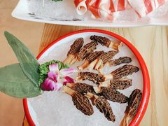 -淼福猪肚鸡·椰子鸡火锅(大沙地店)