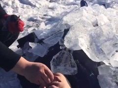 -五月古筝钢琴私塾