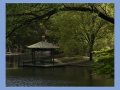 -上海共青森林公园