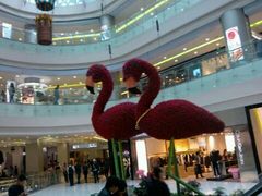 -凯德广场(学府店)