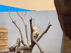 -福州罗源湾海洋世界旅游区