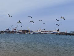 -海驴岛(荣成市)