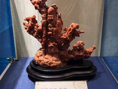 -绮丽珊瑚(台北101旗舰门市店)