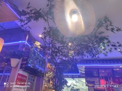 -宋家庄(地铁站)