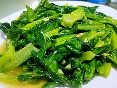 生炒油麦菜-鑫悦楼煎蟹·16年海鲜大排档