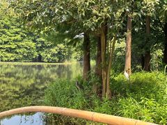 -尚湖风景区
