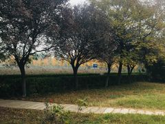 -汉景帝阳陵博物院
