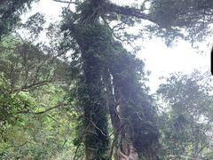 -七仙岭温泉国家森林公园