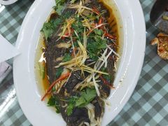 -烁佳海鲜大馅饺子