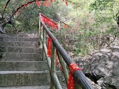 -大海别墅民宿农家院(十渡店)