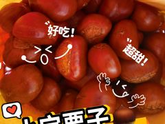 -小宝栗子(西安道店)