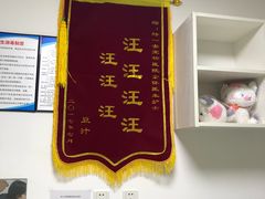 -特一安24小时宠物医院·骨科·中兽医