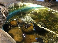 -御膳粥·牛乳粥底火锅·地道顺德菜(容桂店)