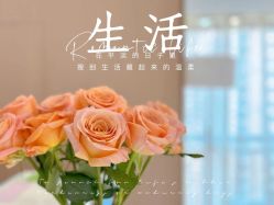 -和美东方产后恢复管理中心(长虹国际城店)