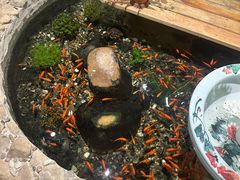 -龙源茶坊(白银路店)