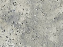 -北海金海湾红树林生态旅游区