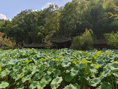 -富乐山