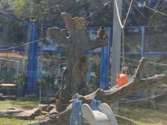 -大连森林动物园