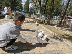 -杨柳青庄园