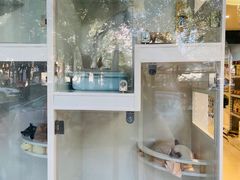 -顽皮家族宠物医院(浦东北园路分院)