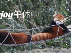 -上海野生动物园