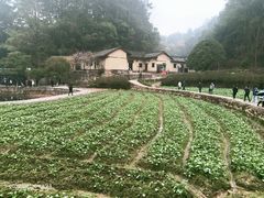 -韶山毛泽东同志故居