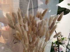 -左悦·艾灸调理·推拿按摩·精油SPA(卓悦汇店)